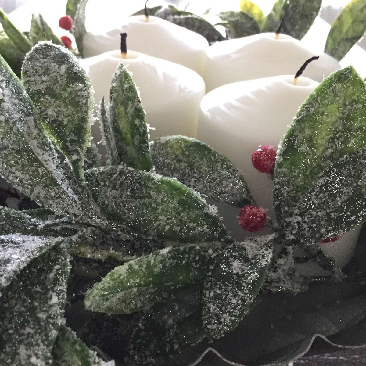 Advent Week photo of white candles nestled among frosty green leaves and red berries.