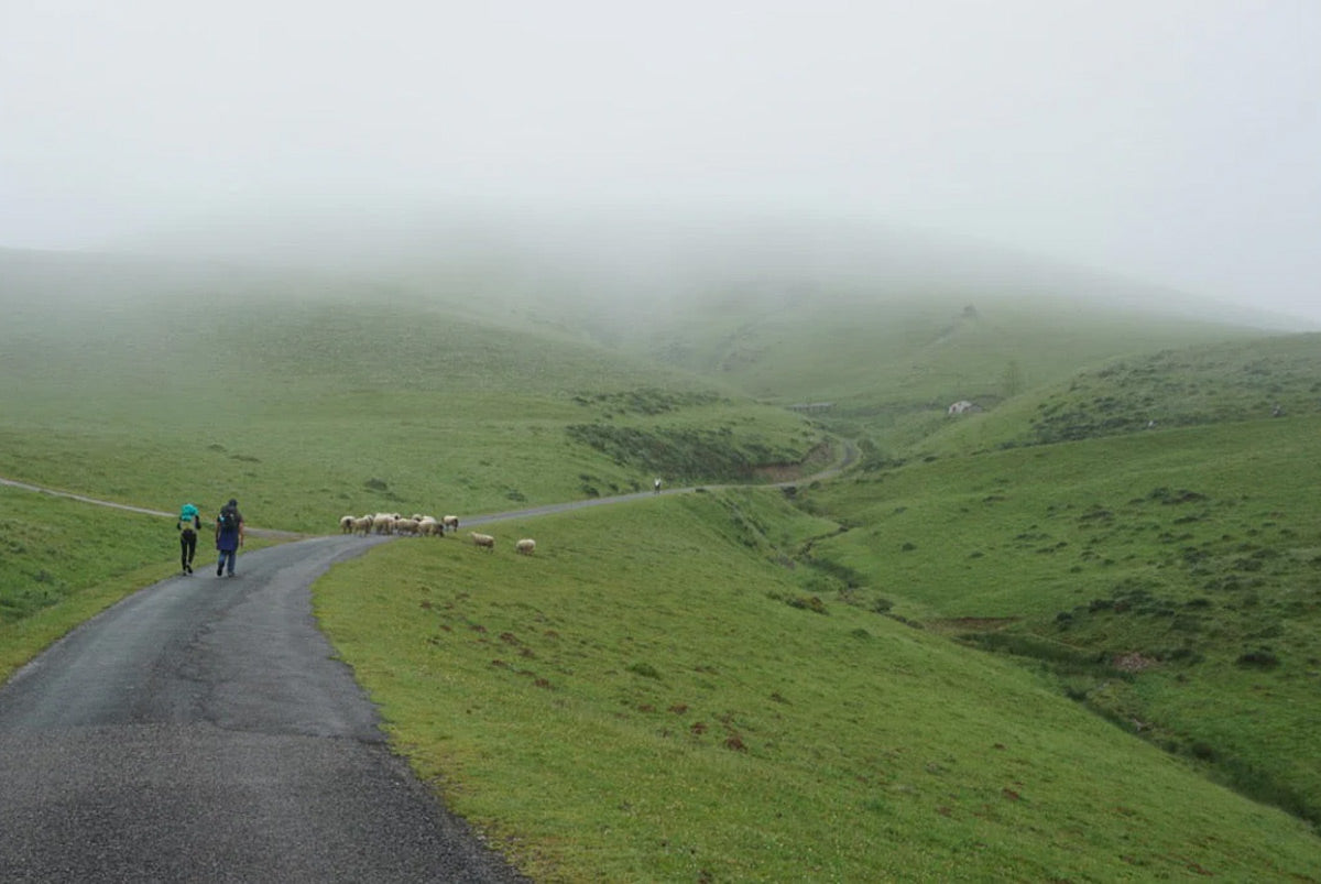 The Camino de Santiago
