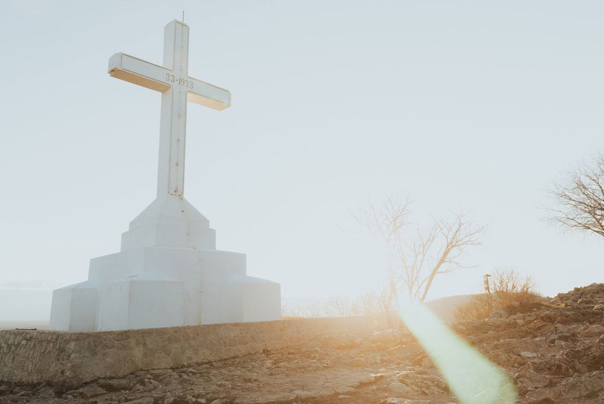 Easter message from MSMH Founder Amy D'Ambra — He is Risen, We are Easter People