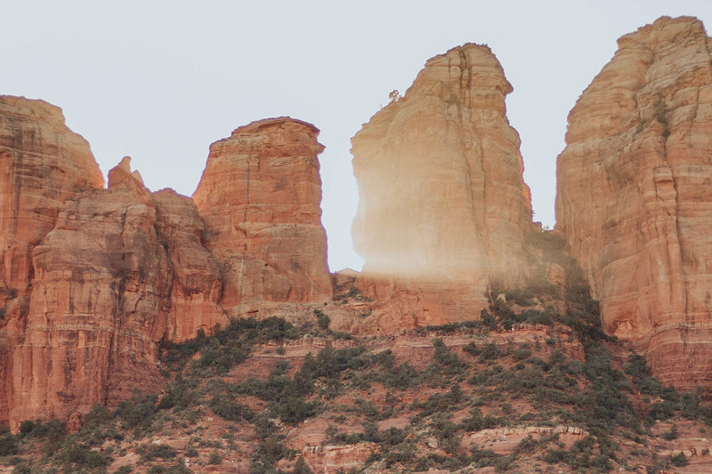 The Miracles of Our Lady of Guadalupe