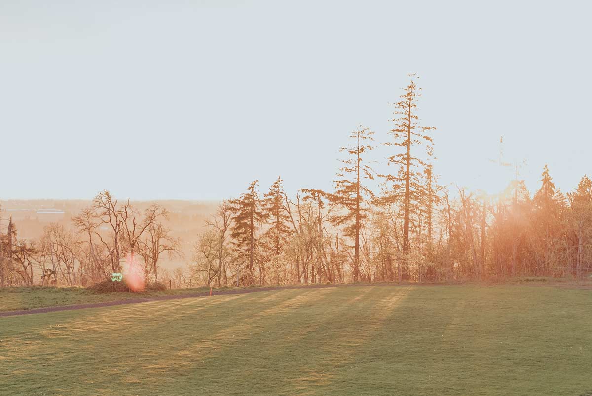 Are We Ready to be Transfigured by Grace into Complete Divine Light and Love?