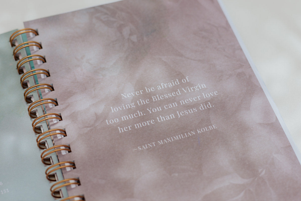 The Visitation of the Blessed Mother Mary