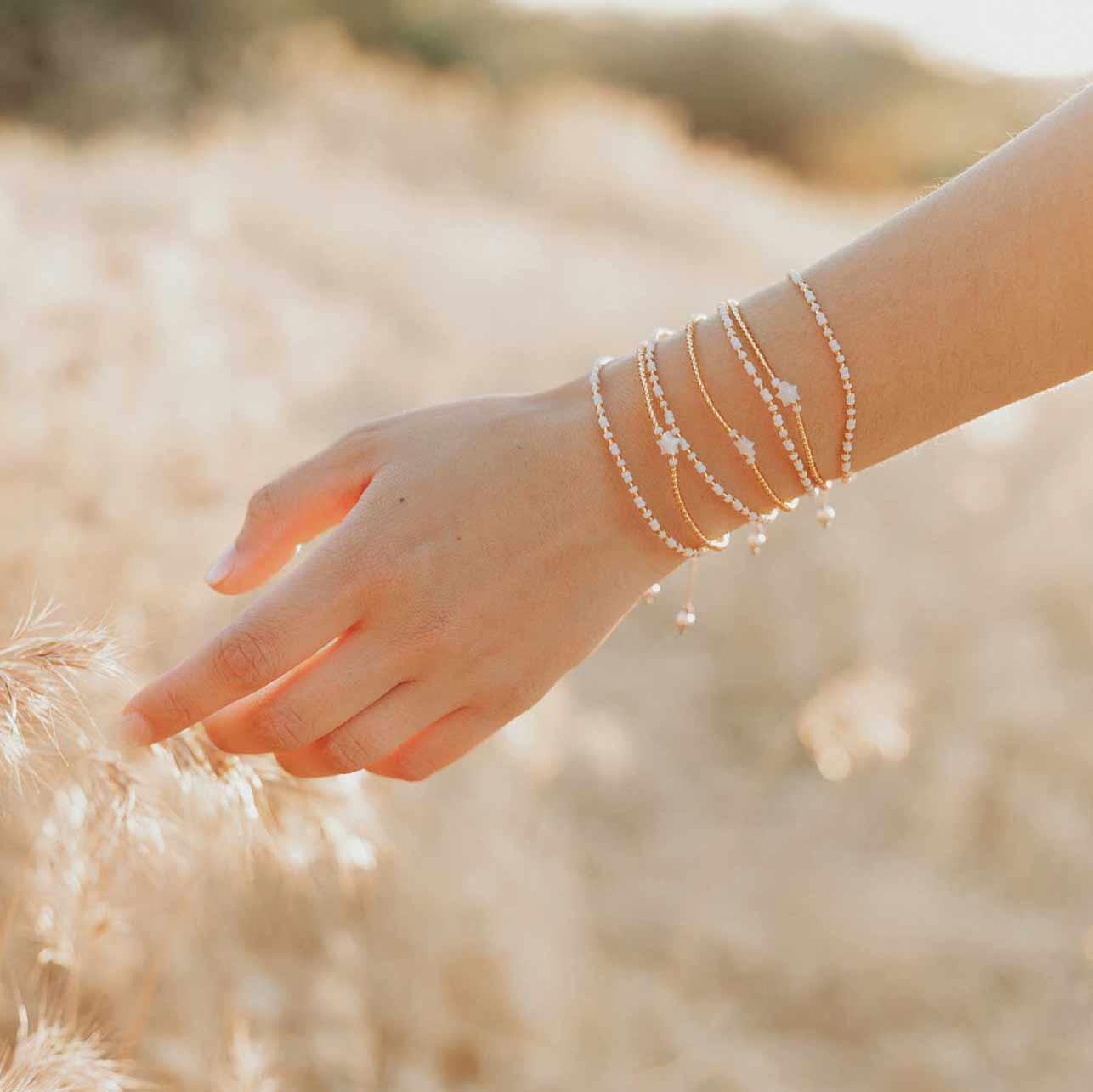 The Mustard Seed Collection