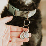 Pet Blessings Woven Bracelet & Pet Tag Set