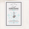 St. Peregrine Medal silver tone 10 mm on inspirational card